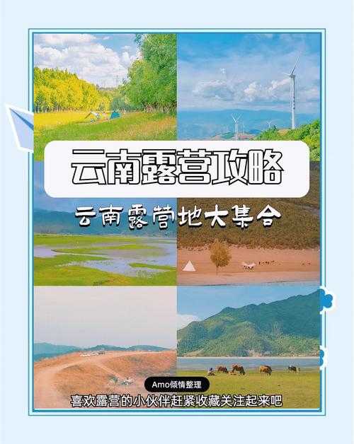 泪目!8月11日云野必做!这些绝美回忆点位你打卡了吗?