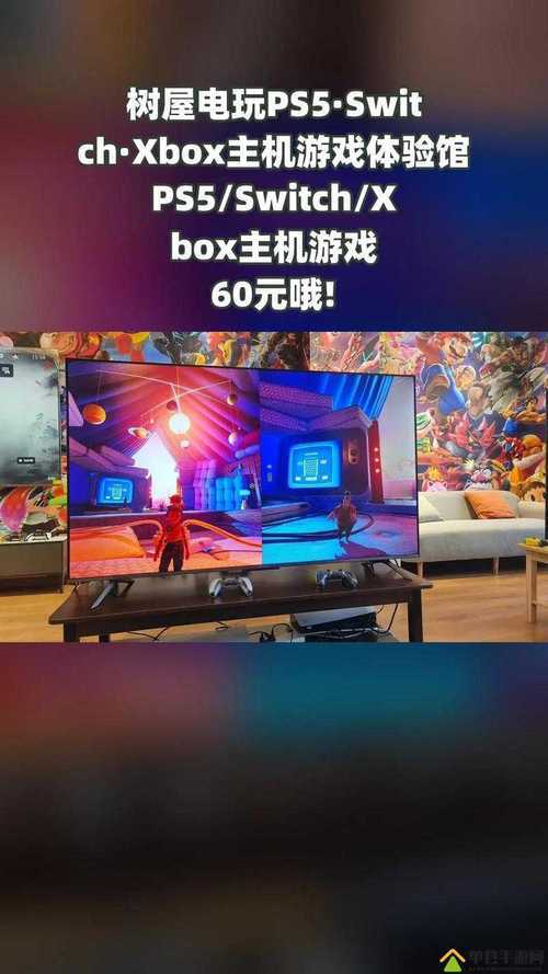 欧美人对 Xbox 与 PS 偏好分析:二者差异及影响因素探讨