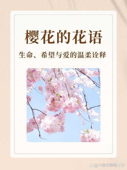 樱花 16q808a：探寻花之美与生命的奇迹