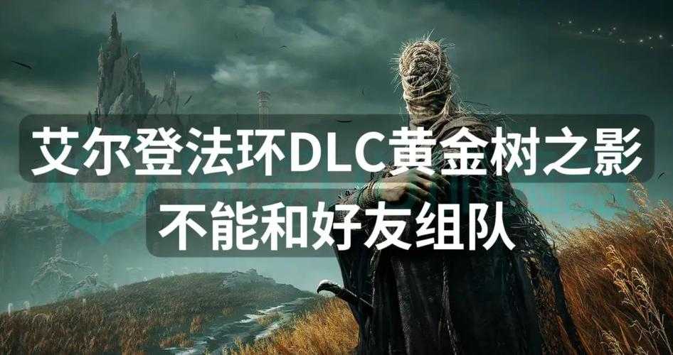 艾尔登法环竟然能联机？好友开黑超详细玩法攻略！