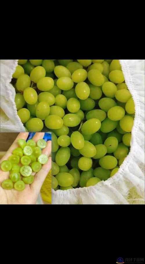 对着镜子把葡萄一粒粒：于静谧空间中完成一场独特且充满意趣之事