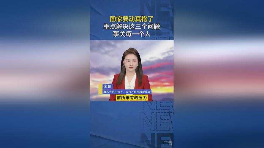 雏鸟幼儿小学生张婉莹- 家庭与社会的责任