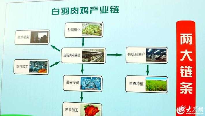 超级肉禽系统情节分析深度剖析其独特设定与精彩发展脉络