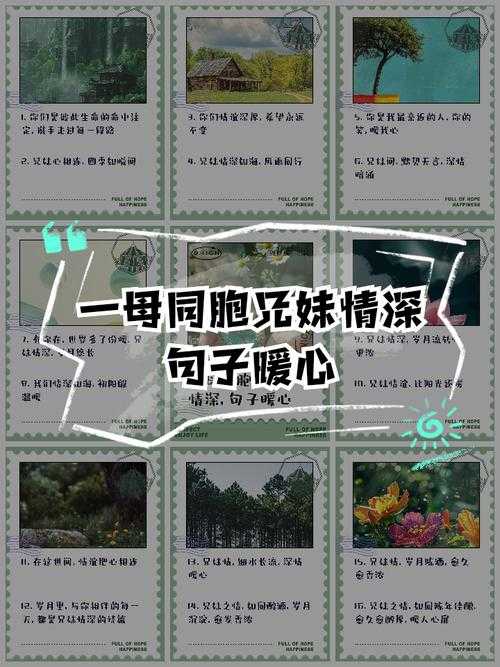 请你提供和好兄弟的母亲最经典的一句具体内容，以便我按要求拟定