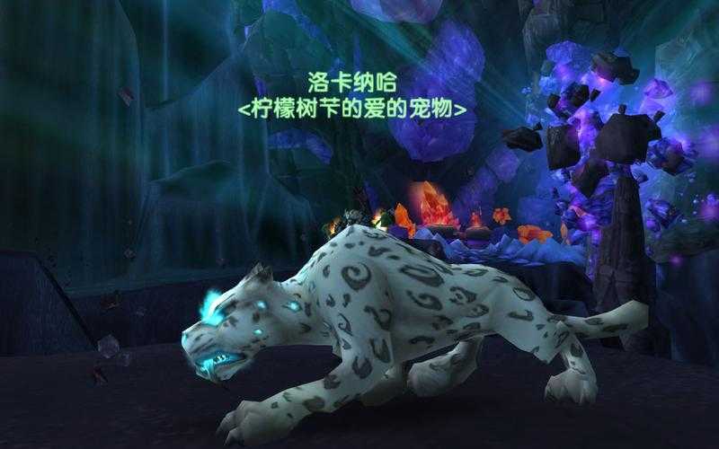 绝美又神秘！魔兽世界90银鹤全面解析，这只新小宠物到底值不值得养？