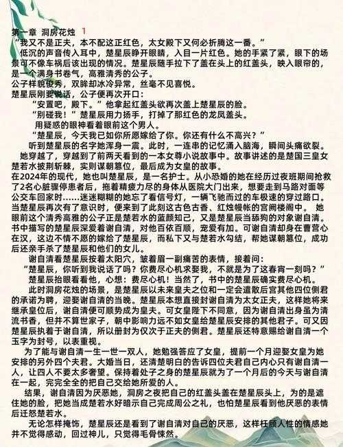 JEALOUSVUE 护士的秘密：她的职业生涯与情感纠葛