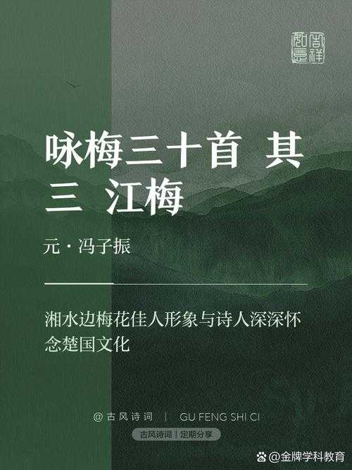 烟雨江湖梅花三弄：于江湖风雨中聆听梅花奏响的绝美古韵乐章