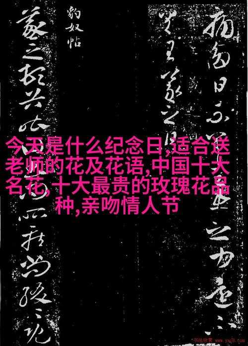 大团圆结亲情会王芳高敏：一场温馨感人诠释深厚亲情的难忘相聚