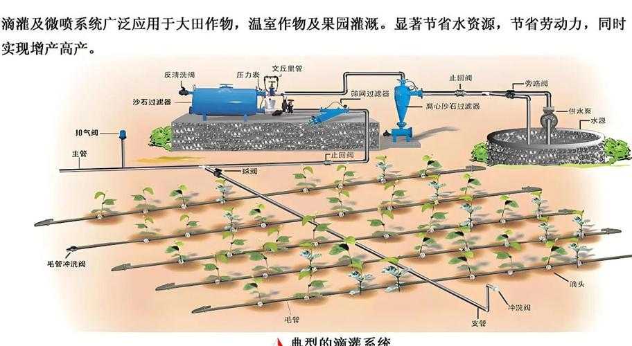 精准灌溉系统及其高效 y 液收集系统的应用与发展