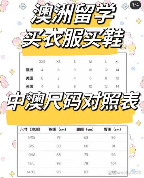 国产尺码和欧洲尺码表 2023 为何无法浏览？