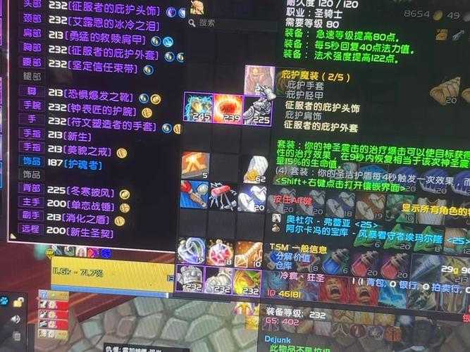 TBC奶骑宝石镶嵌攻略！PVE PVP必看的最强搭配指南