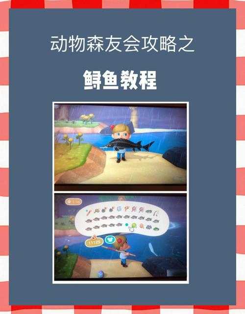 动物森友会稀有海洋生物速刷技巧！刷爆渔场必看攻略