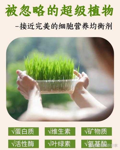 嫩草精产一二三产区：探索自然之美与科技创新的奇妙融合