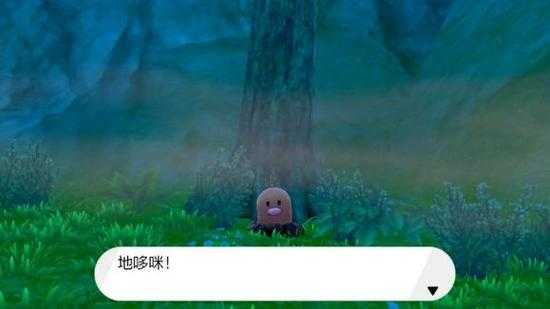 宝可梦剑盾锻炼平原地鼠绝了！DLC隐藏点位速藏攻略