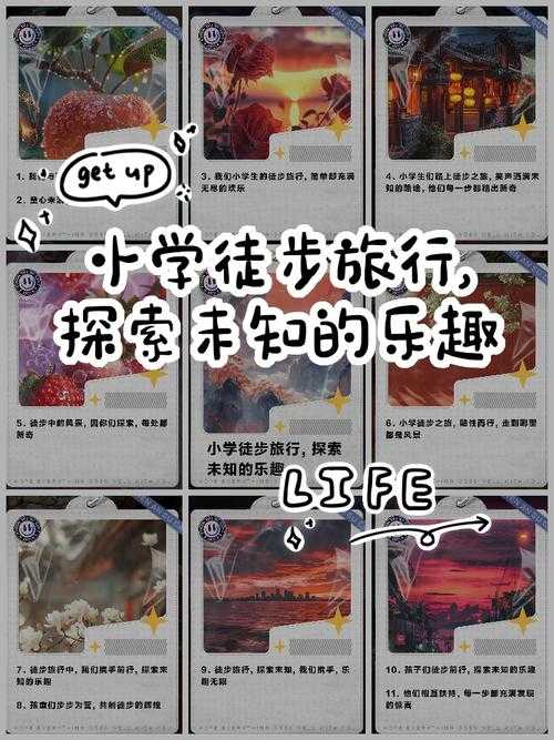 带玩具走路什么感觉：探索未知的新奇之旅