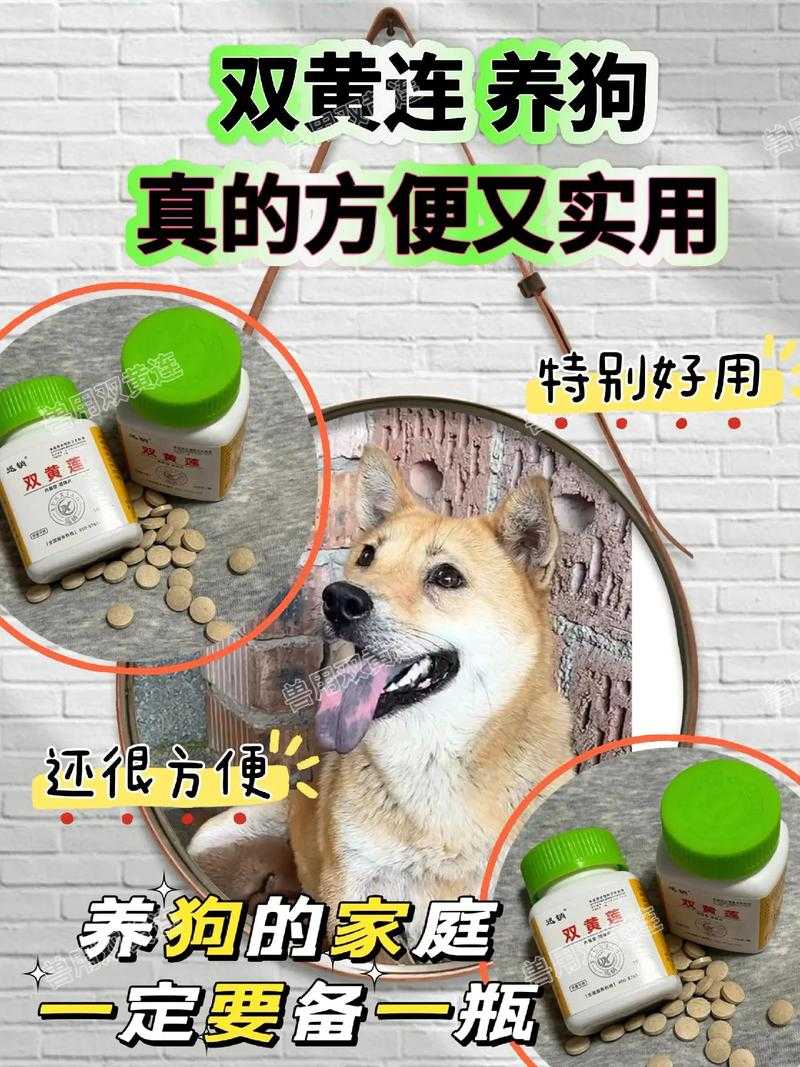 兽王 ZOOMSERVO 兽狗产品优势：性能卓越、品质可靠、安全耐用