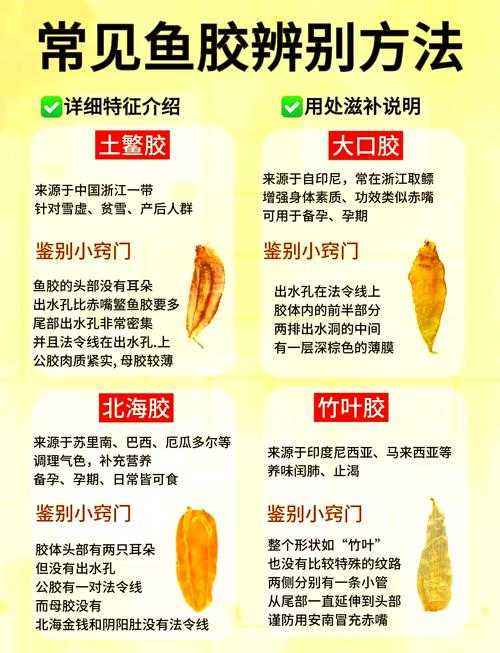 高清胶配方大全：狗狗与人的胶配方大全，你知道吗？
