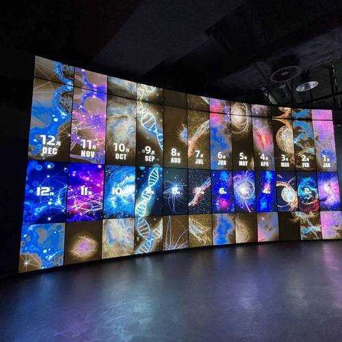 多人交互式 VR 带来全新沉浸式体验与社交互动盛宴
