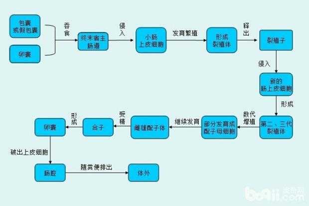 榨汁精灵的繁衍条件有哪些新发现：探索其在特殊环境下繁衍情况及影响因素