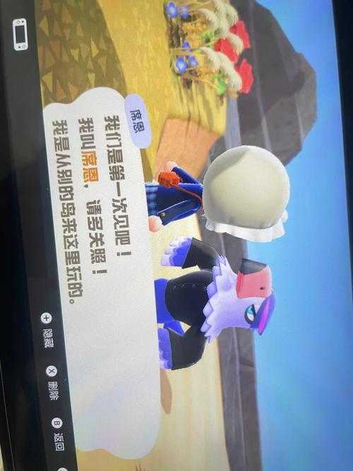 必看！动物森友会莉咏+健兆彩绘碟获取绝密技巧！手慢无！