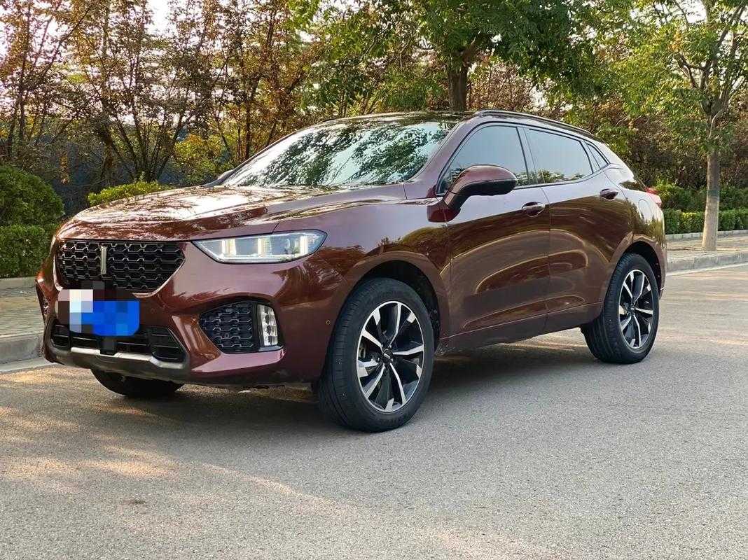 WEYVV5 国产 SUV 虚拟赛车化：速度与激情的碰撞