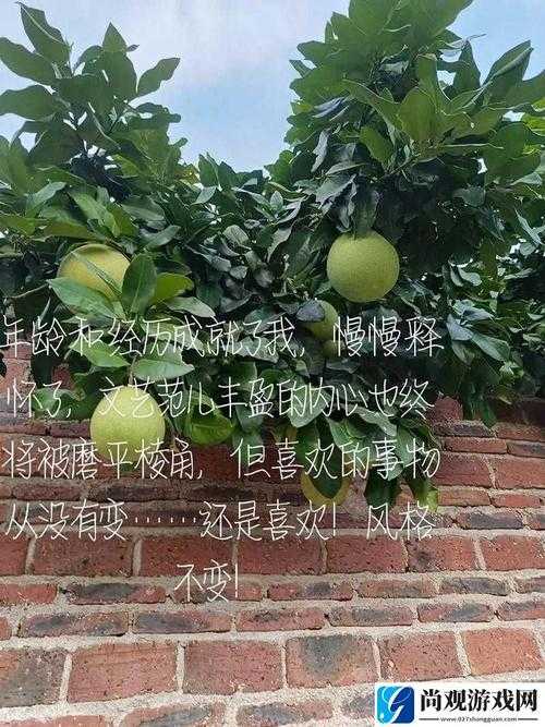从开始拒绝到慢慢接受，视频观看体验提升的秘密