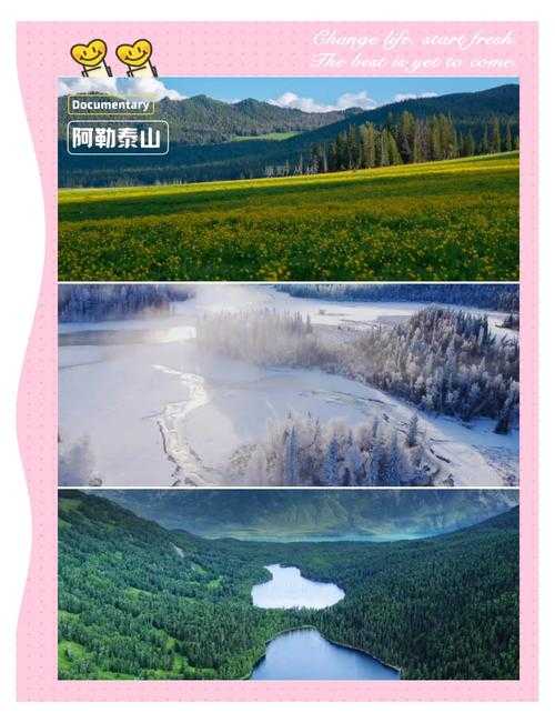 b 站好看的纪录片免费：带你领略世间万象