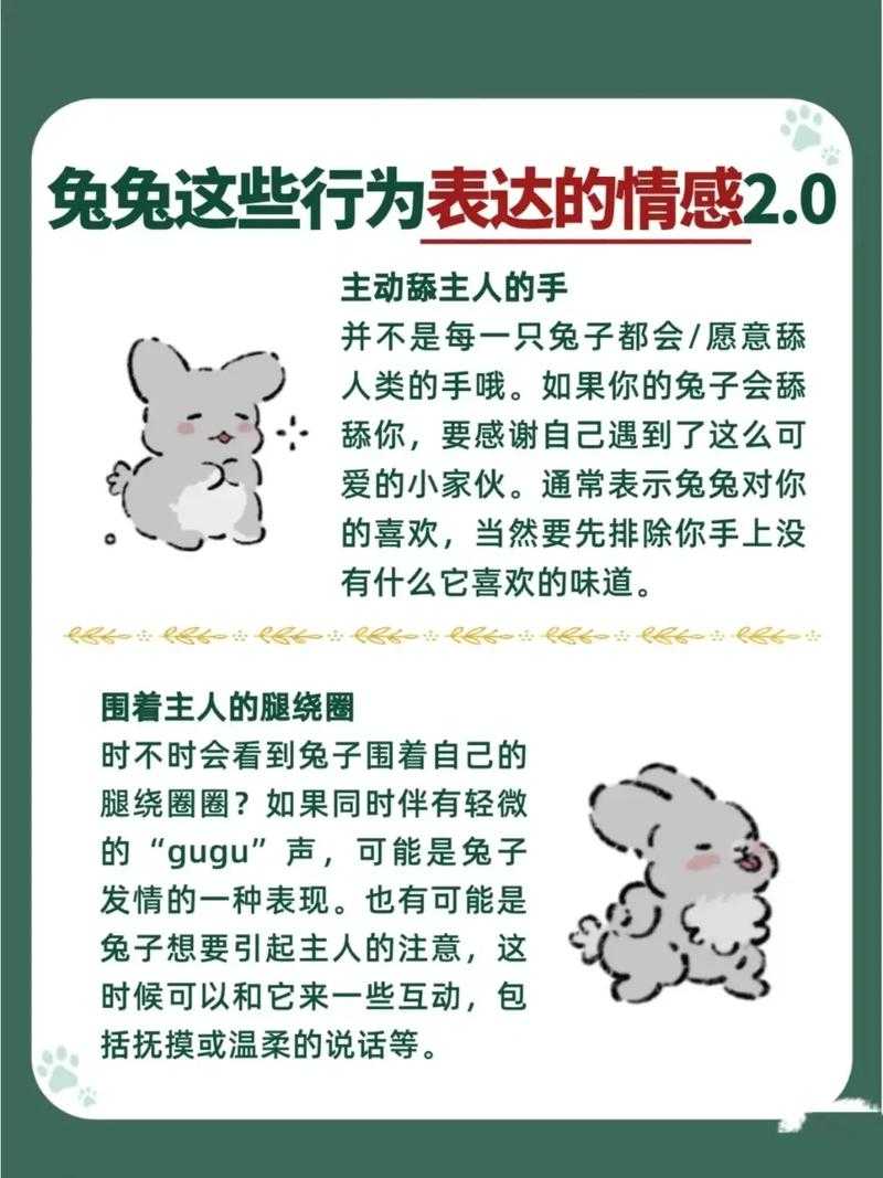一个男生在干什么：探究男生咬小兔兔行为背后的心理动因