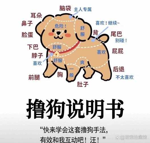 办公室可否干湿你小狗狗之趣味探讨