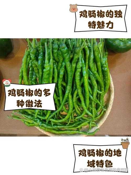 解密成品大香伊煮与小辣椒独特魅力全解析